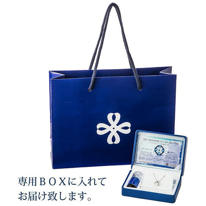 [Crossfor New York] クロスフォーニューヨーク ペンダント Tailsman NMP-005 ＜ 馬蹄 シルバー925 ネックレス メンズ ＞